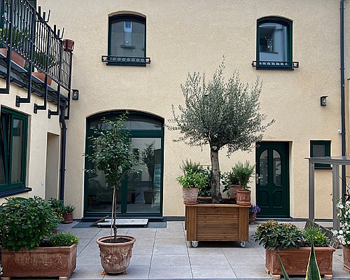 Neubau/Sanierung in Düsseldorf